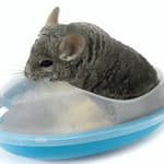 Savic csincsillafürdő kék 35x23x15cm 189