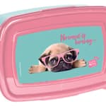 UZSONNÁS DOBOZ, 18x12x6, POLYPROPYLENE BPA FREE, 'STUDIO PETS '